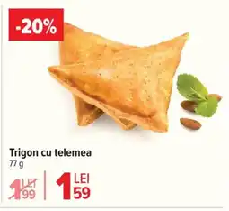 Trigon cu telemea