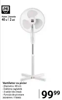 Selgros Ventilator cu picior Ofertă