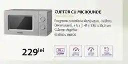 Selgros Cuptor cu microunde Ofertă