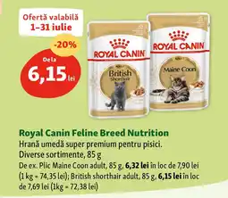 Fressnapf Royal Canin Feline Breed Nutrition Ofertă