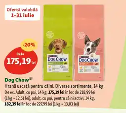 Dog Chow Hrană uscată pentru câini