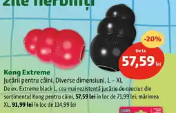 Fressnapf Kong Extreme Jucării pentru câini Ofertă