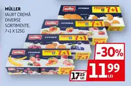 Auchan Müller iaurt cremă Ofertă