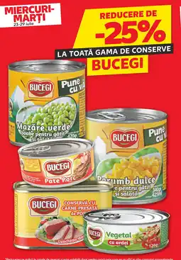 Kaufland BUCEGI Ofertă