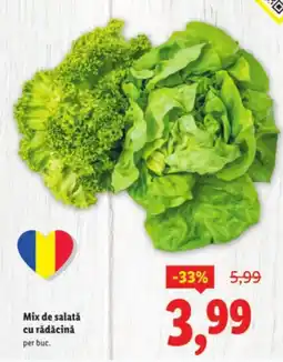 Lidl Mix de salatǎ cu rădăcină Ofertă