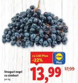 Lidl Struguri negri cu sâmburi Ofertă