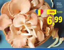 Lidl Ciuperci Pleurotus Ofertă