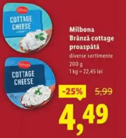 Lidl MILBONA Brânză cottage proaspătă Ofertă