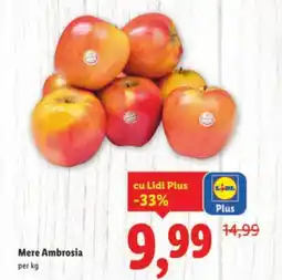 Lidl Mere Ambrosia Ofertă