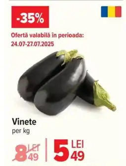 Carrefour Market Vinete Ofertă