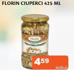 Florin ciuperci