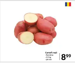 Selgros Cartofi roşii Ofertă
