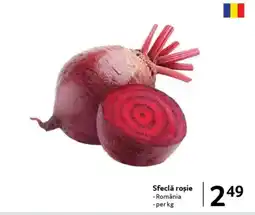 Selgros Sfeclă roşie Ofertă