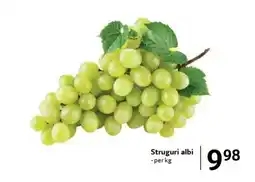 Selgros Struguri albi Ofertă