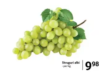 Selgros Struguri albi Ofertă
