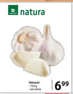 Selgros Usturoi Ofertă