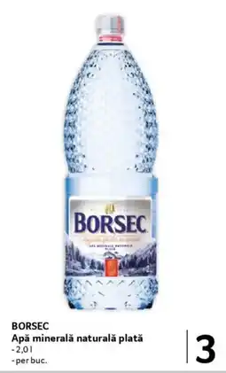 Selgros BORSEC Apă minerală naturală plată Ofertă