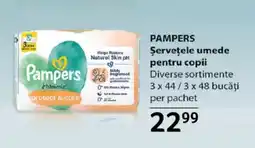 Selgros PAMPERS Şerveţele umede pentru copii Ofertă