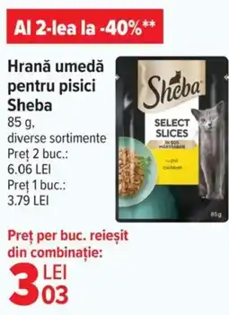 Carrefour Hrană umedă pentru pisici Sheba Ofertă