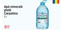 Carrefour Apă minerală plată Carpatina Ofertă