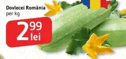 Supeco Dovlecei România Ofertă