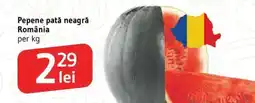 Supeco Pepene pată neagră România Ofertă