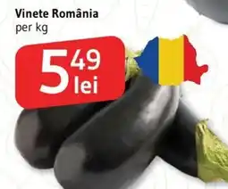 Supeco Vinete România Ofertă