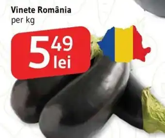 Supeco Vinete România Ofertă