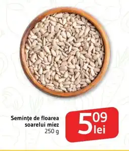 Supeco Semințe de floarea soarelui miez Ofertă
