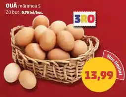 Penny OUĂ mărimea S Ofertă