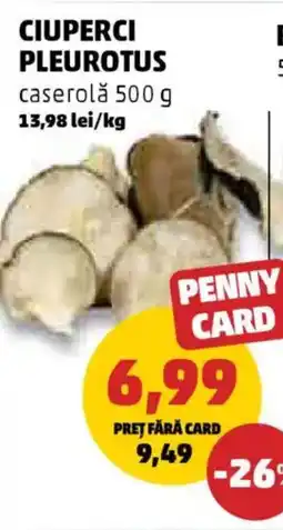 Penny Ciuperci pleurotus caserolǎ Ofertă