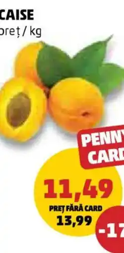 Penny Caise Ofertă