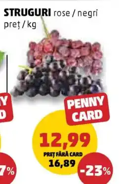 Penny STRUGURI rose/negri Ofertă