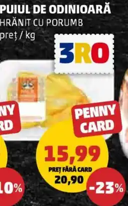 Penny Puiul de odinioară hrănit cu porumb Ofertă