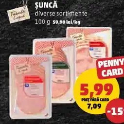 Penny Şuncă Ofertă