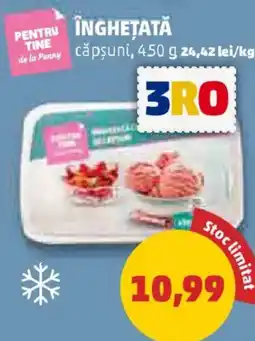 Penny Înghețată căpşuni Ofertă
