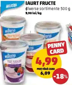 Penny Iaurt fructe Ofertă