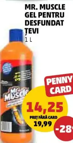 Penny Mr. muscle gel pentru desfundat tevi Ofertă