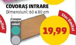 Covoras intrare