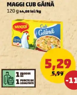 Penny Maggi cub găină Ofertă