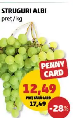 Penny Struguri albi Ofertă