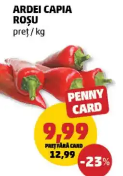 Penny Ardei capia roşu Ofertă