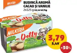 Penny Budincă aromă cacao și vanilie Ofertă