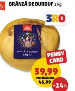Penny Brânză de burduf Ofertă