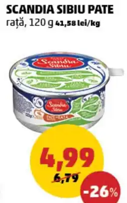 Penny Scandia sibiu pate rață Ofertă