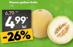 PROFI Pepene galben Galia Ofertă