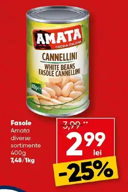 PROFI Fasole Amata Ofertă