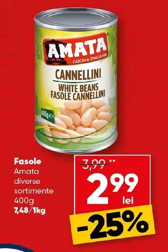 PROFI Fasole Amata Ofertă
