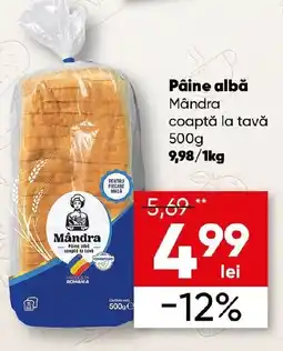 PROFI Pâine albă Mândra coaptă la tavă Ofertă