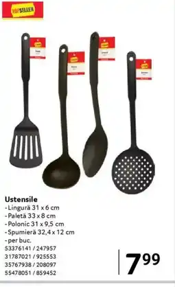 Selgros Ustensile Ofertă